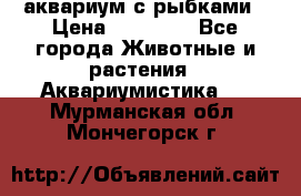 аквариум с рыбками › Цена ­ 15 000 - Все города Животные и растения » Аквариумистика   . Мурманская обл.,Мончегорск г.